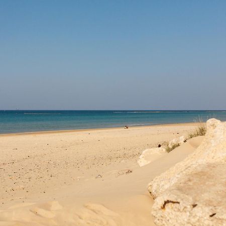 Gma Caesarea Apartment Exterior photo
